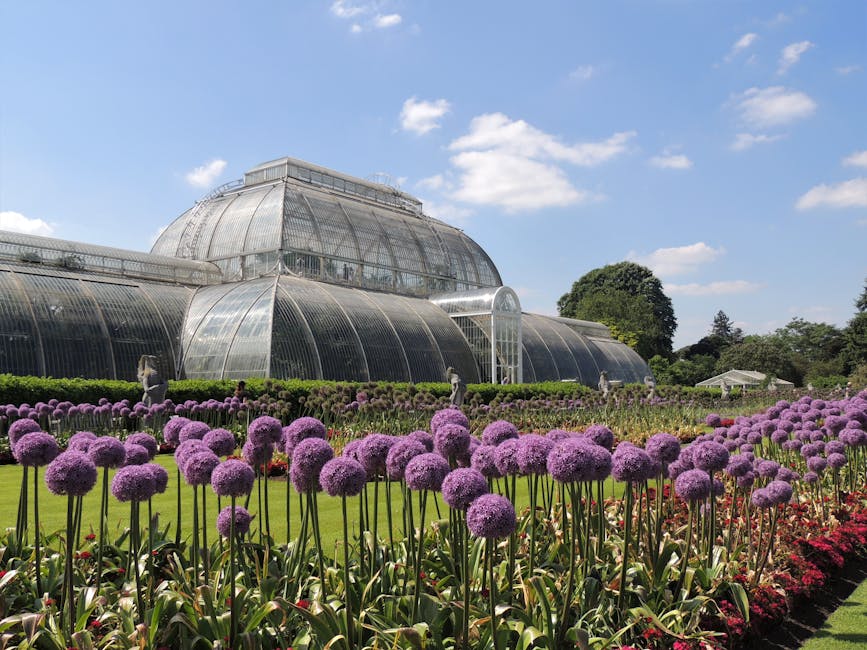 A vibrant garden scene featuring a large greenhouse with a curved, metallic roof and glass panels, situated behind neatly maintained flower beds. In the foreground, there are numerous tall, purple all